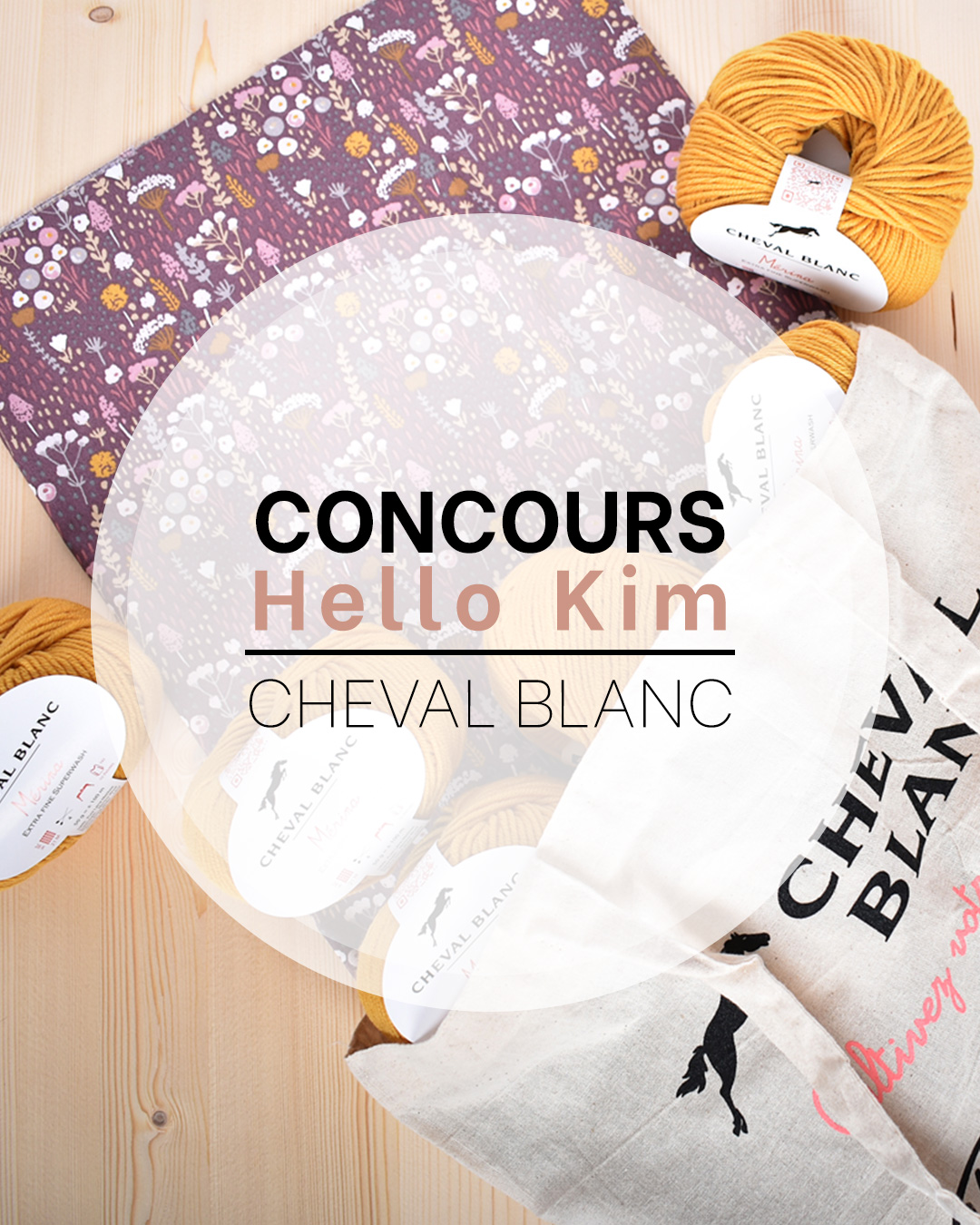 Hello Kim fête ses 12 ans - Concours Cheval Blanc